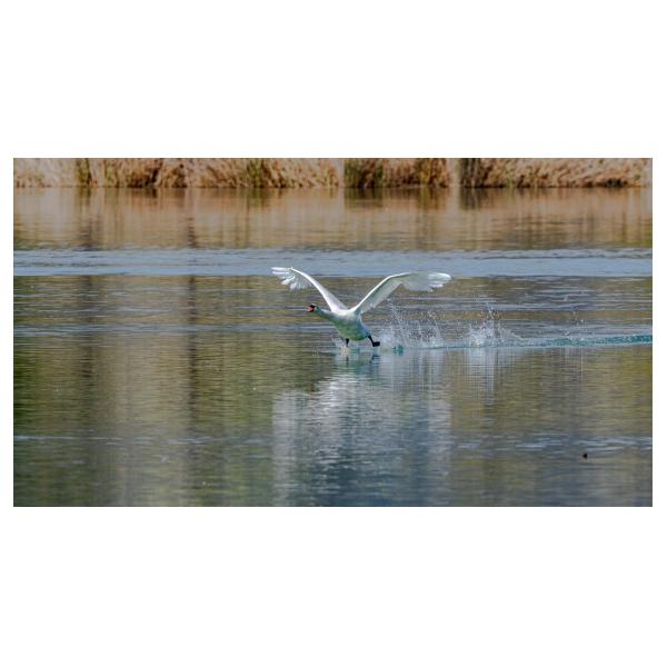 PHOTO84, CLUB, 84 , LUBERON